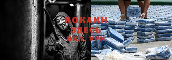 соль ск Алексин