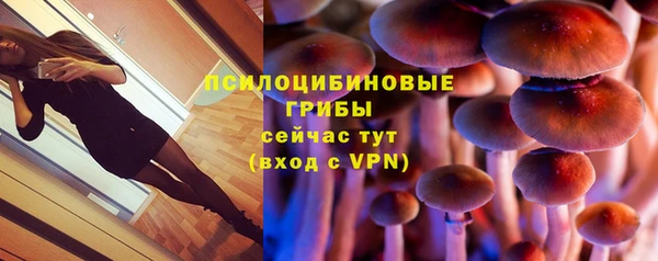 соль ск Алексин