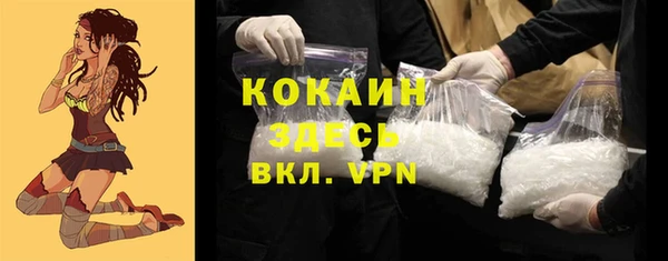 соль ск Алексин