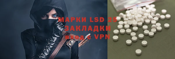шишки Алзамай