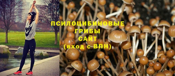 шишки Алзамай