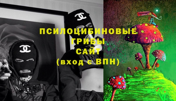 соль ск Алексин