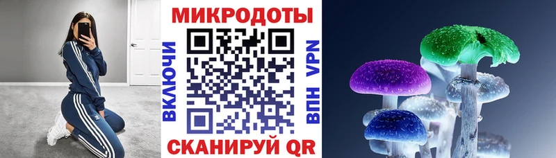 Псилоцибиновые грибы Psilocybe Суровикино