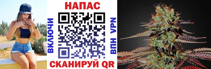 купить наркоту  Суровикино  Конопля семена 